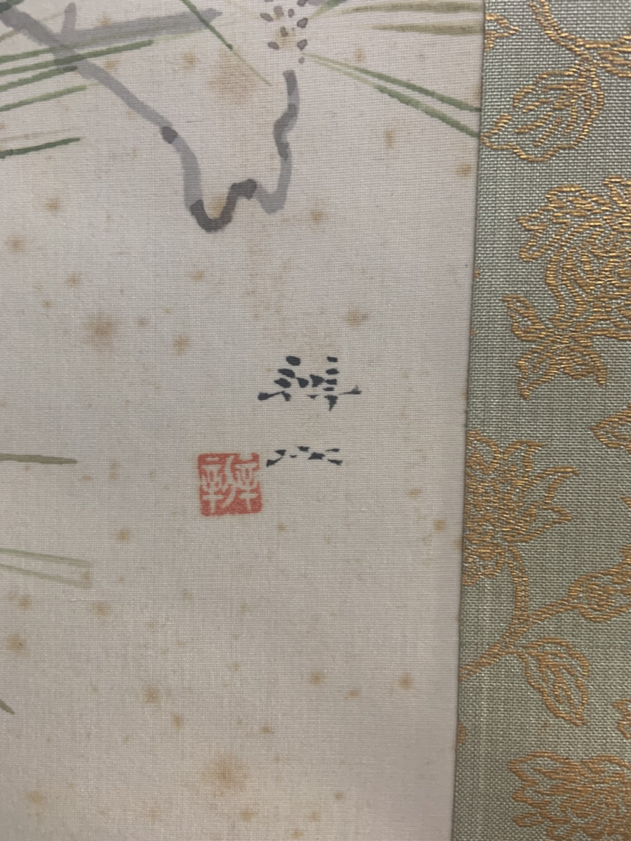 dorochan 日本画家 麻田辨自(弁次) コキンチョウ 日本画 dorochan 日本