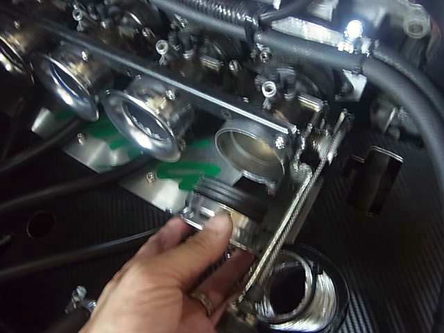 週末の楽しみ885