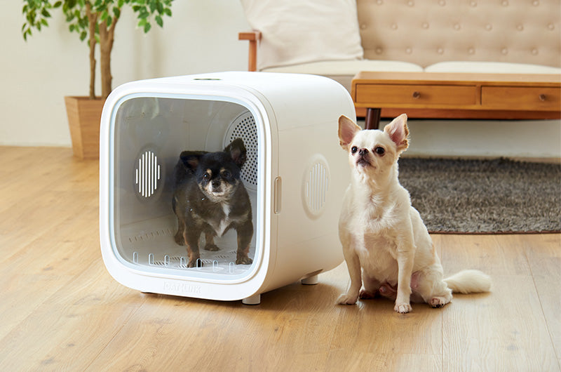 ドライヤーに革命を。安全・高機能なペット用ドライルーム『CATLINK