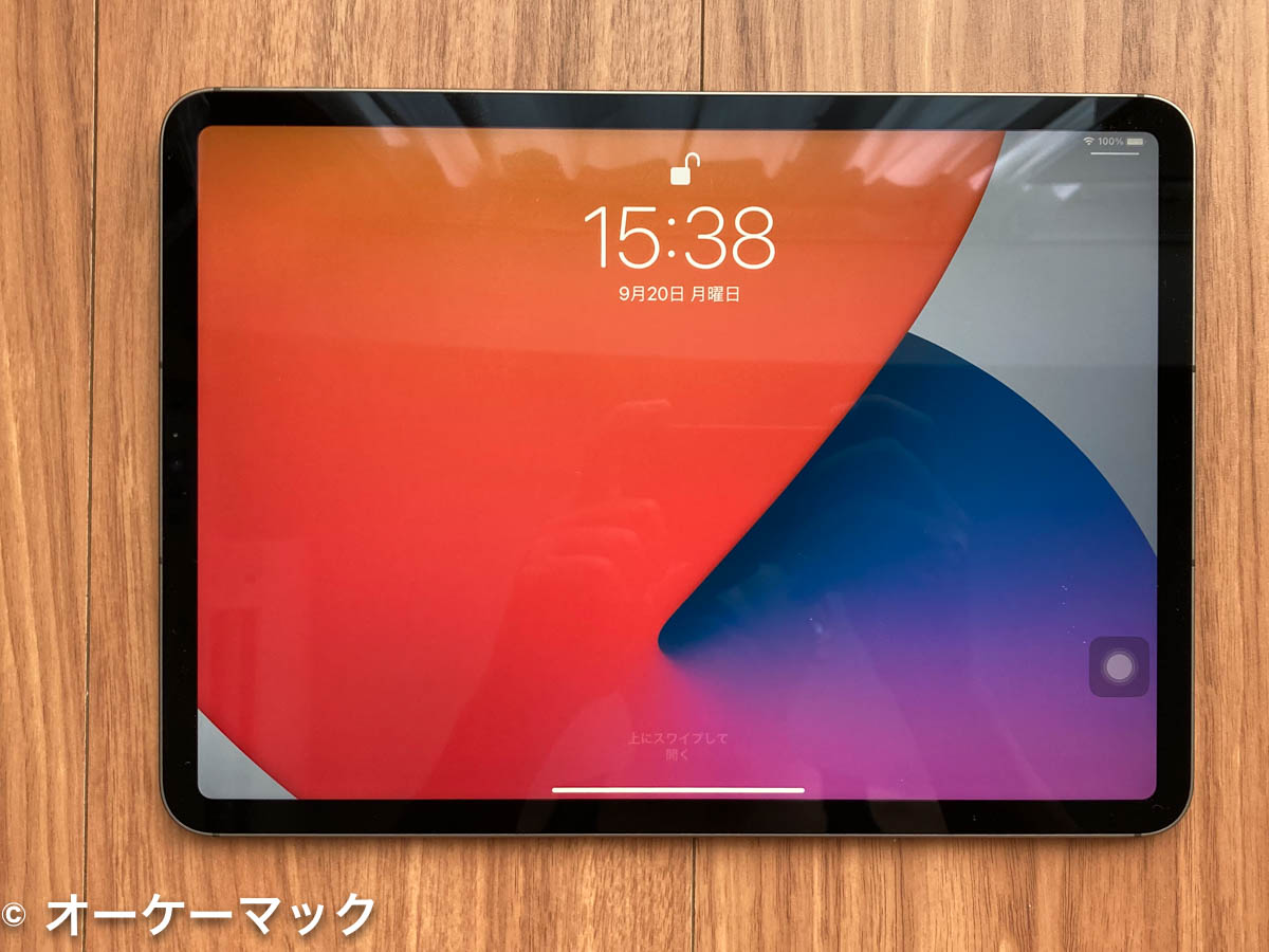 iPad PRO 2021 11インチ M1 256GB セルラー SIMフリー 11インチiPad
