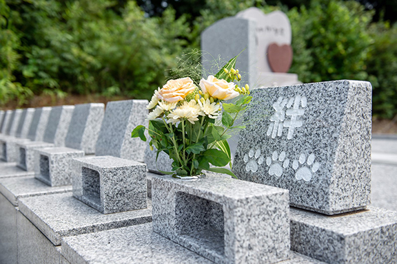 ペットのお墓 | ペットセレモニーおもかげ