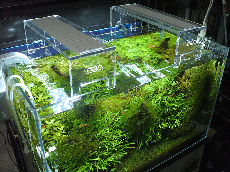 ADA アクアスカイムーン 601 (60センチ水槽用) ADAの水槽用LED照明「アクア