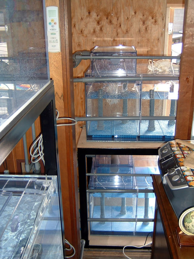 二段式サイドオーバーフロー水槽 アクリル水槽、オーバーフロー水槽の