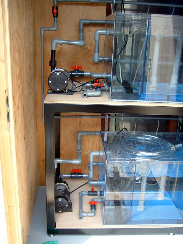 二段式サイドオーバーフロー水槽 アクリル水槽、オーバーフロー水槽の