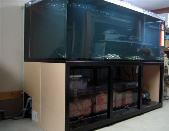 大型オーバーフロー水槽 アクリル水槽、オーバーフロー水槽の通販