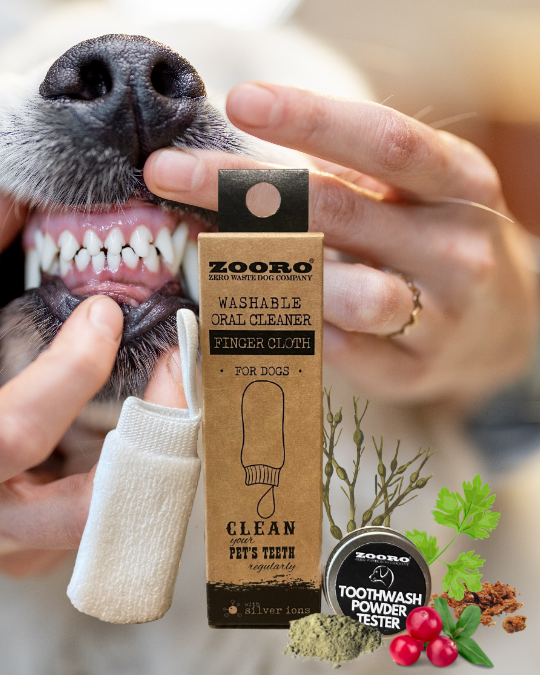 デンタルパウダー 人気 30g 〔2袋〕 犬猫用 犬猫生活 デンタルふりかけ