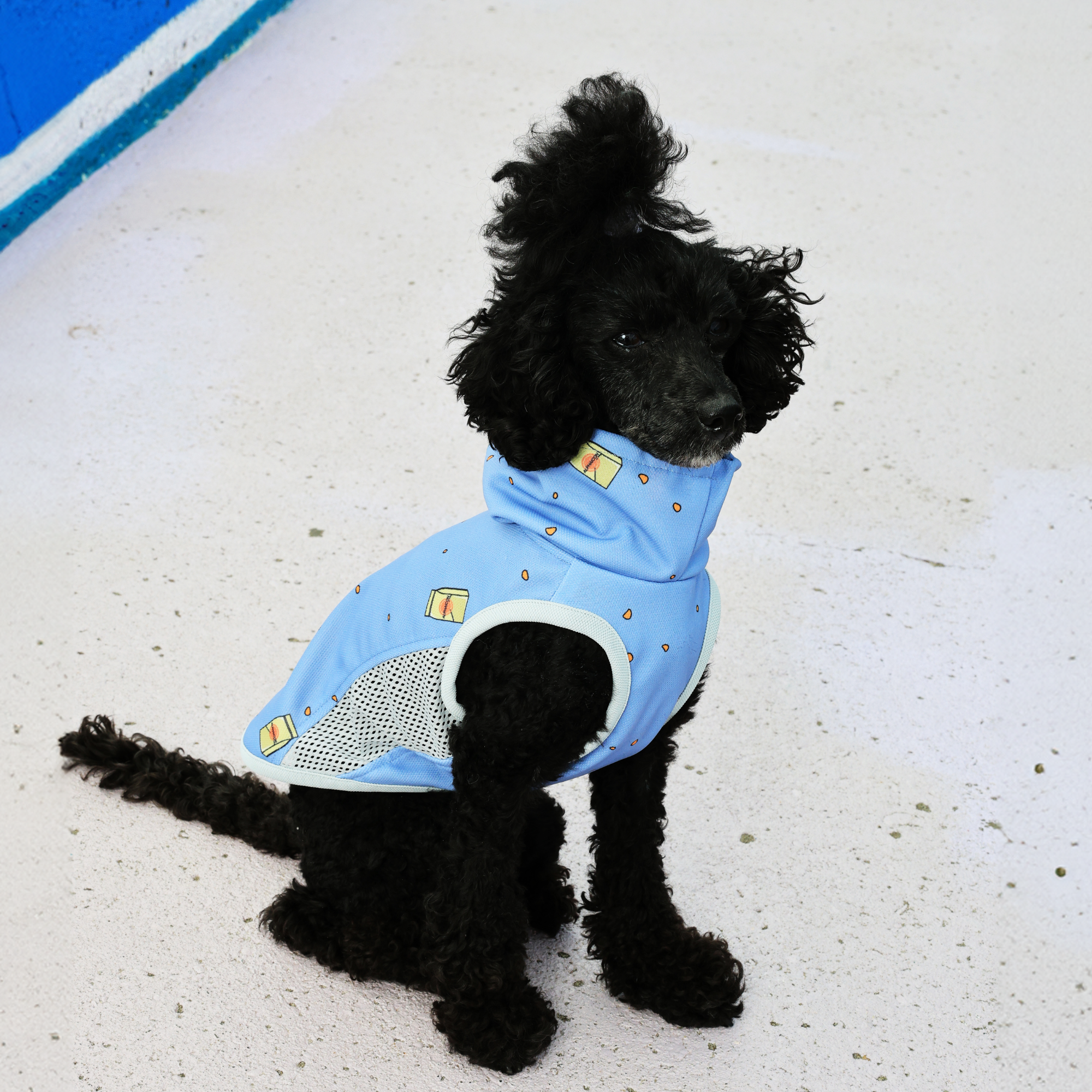 新商品情報】 SUMMER COOLING NECK 2025年モデル4/17発売