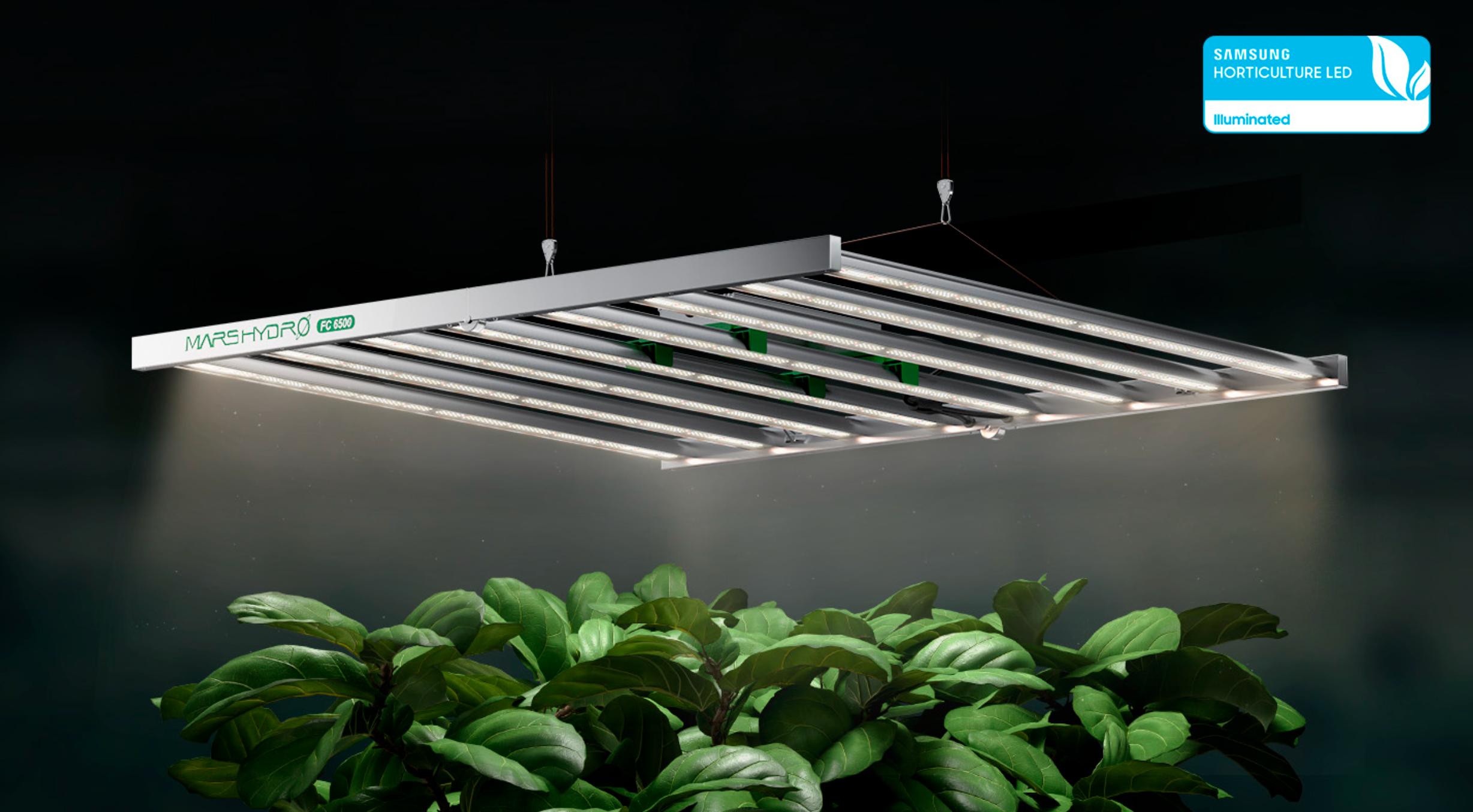 旧型MARS HYDRO FC-6500植物育成グロウライト 【公式通販】