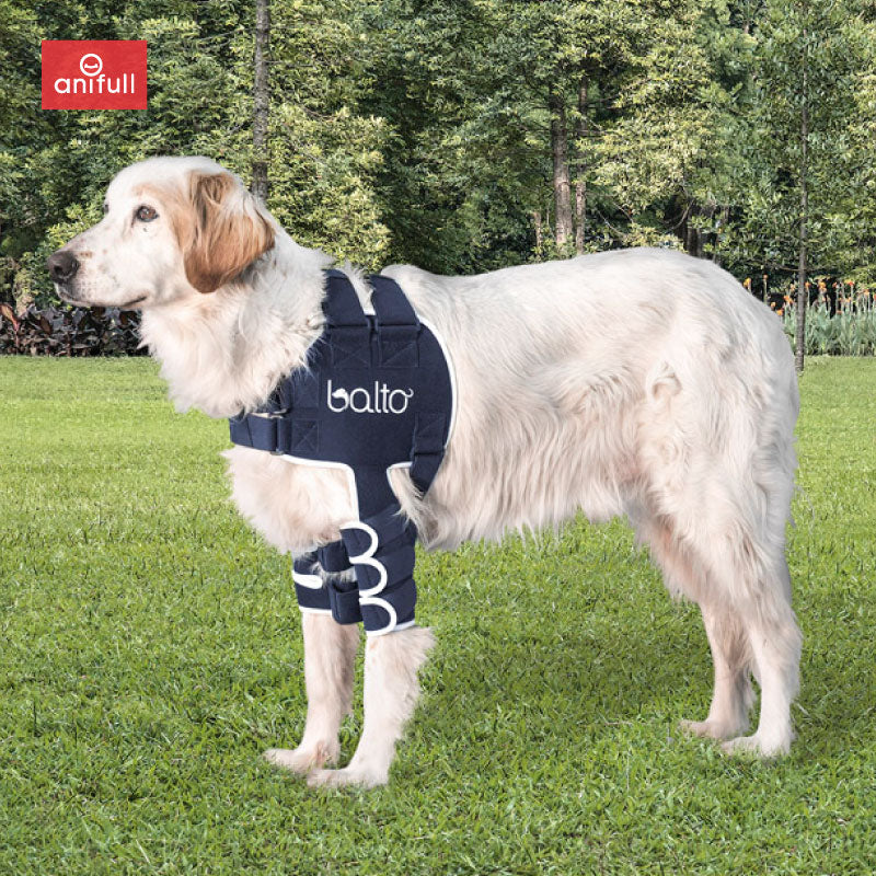 BT LUX(肩関節サポーター) 犬用 肩サポーター – anifull