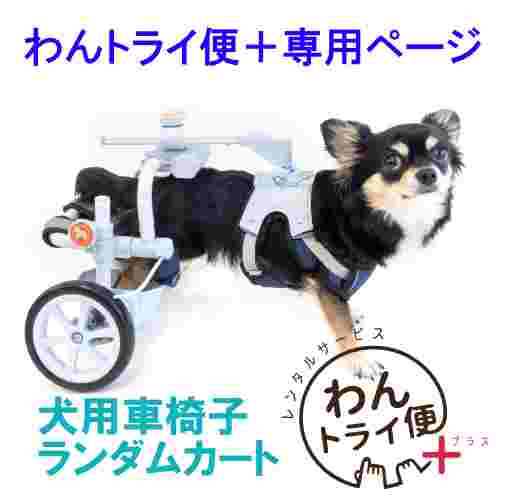 レンタルサービス】わんトライ便 犬用車椅子 ランダムカート 特許取得