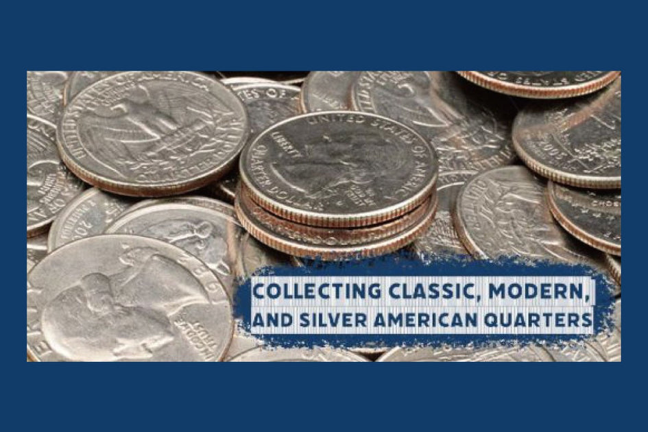 bullion-shark-collecting-