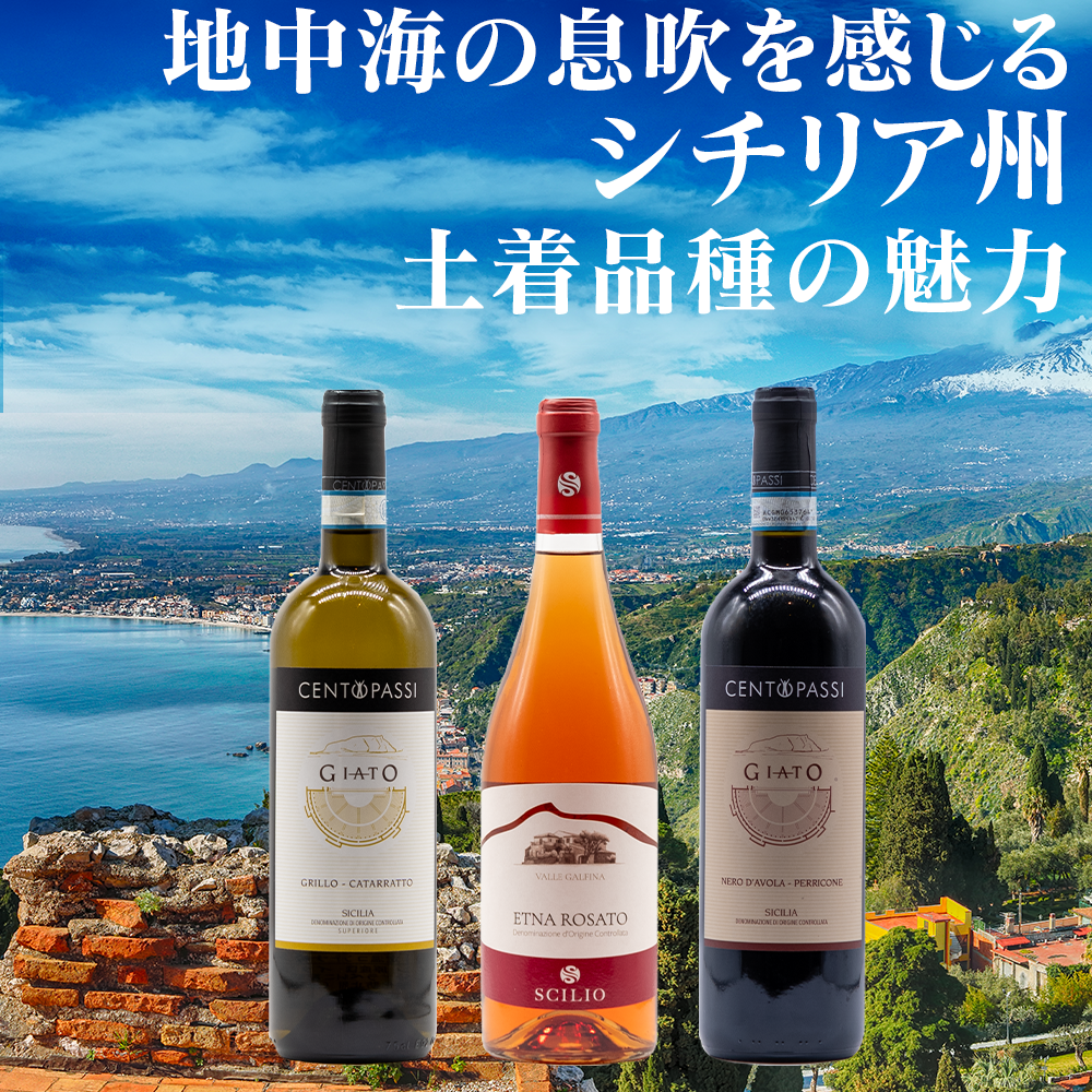 シチリア州を旅するワイン3本セット（送料込）