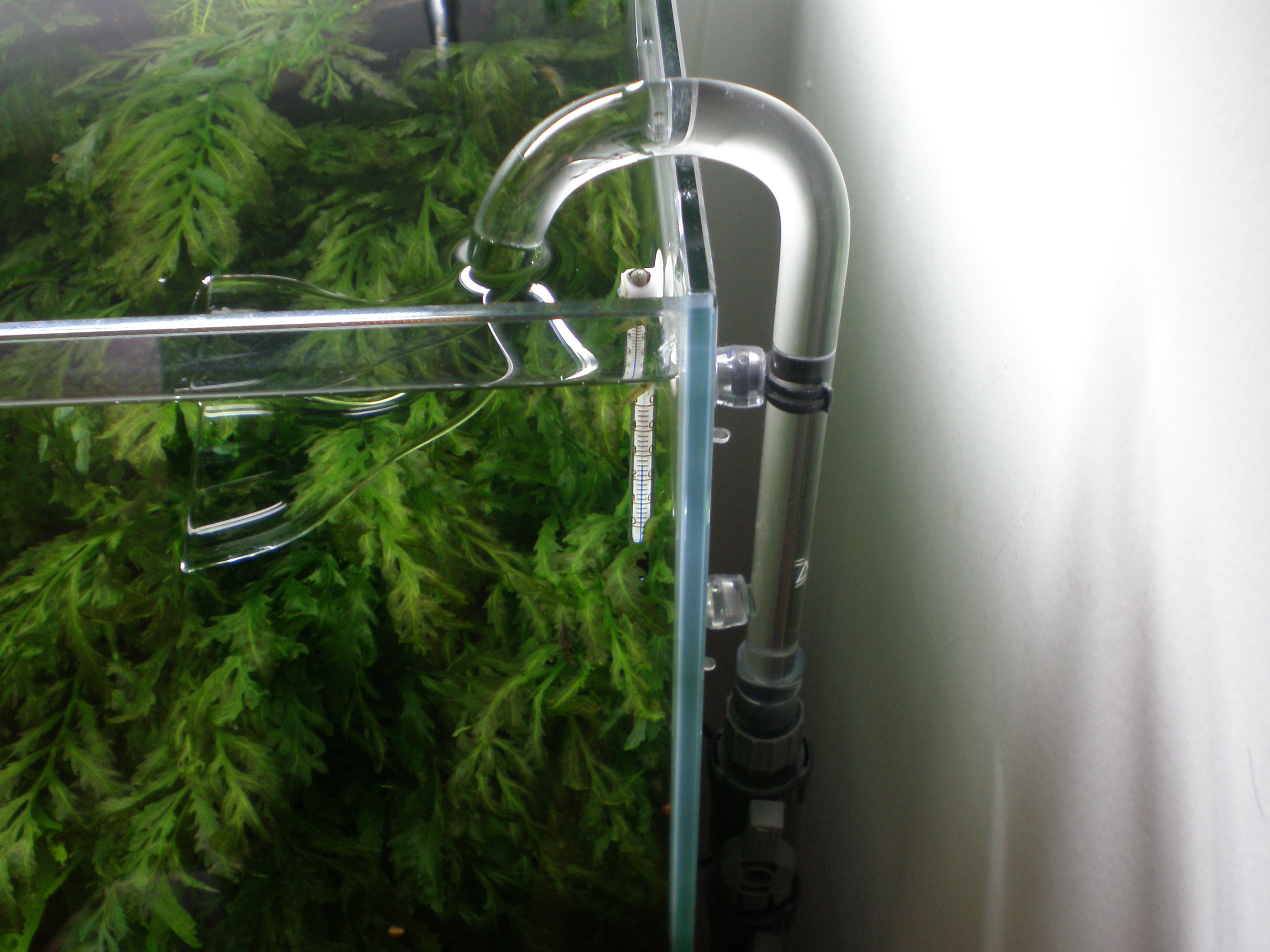 ADA リリィパイプ ADA リリィパイプ P-2とP-6とV-7 ADA リリィ