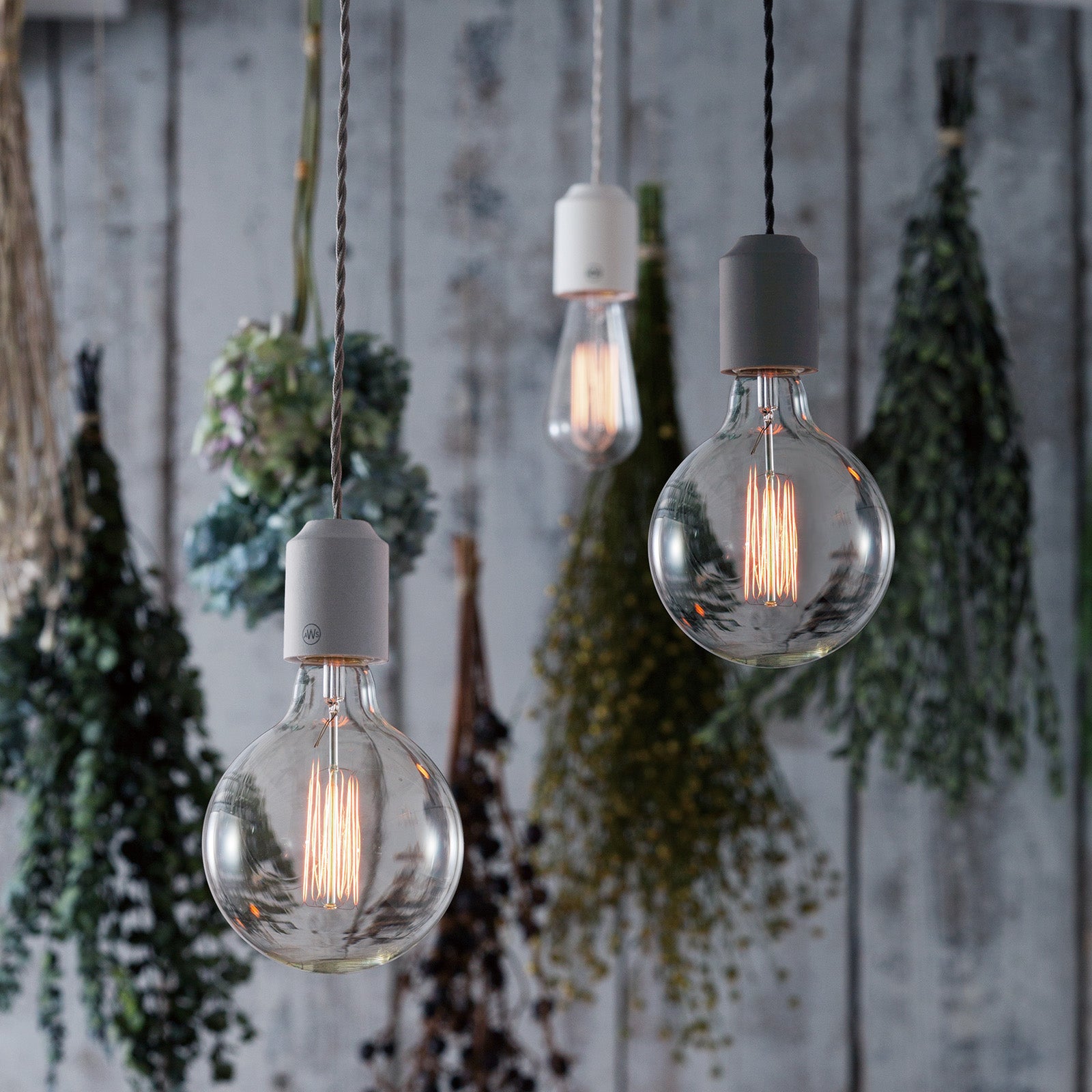 アラキ様 ボーコンセプト フレームアート 【訳あり】 アラキ様 ボー