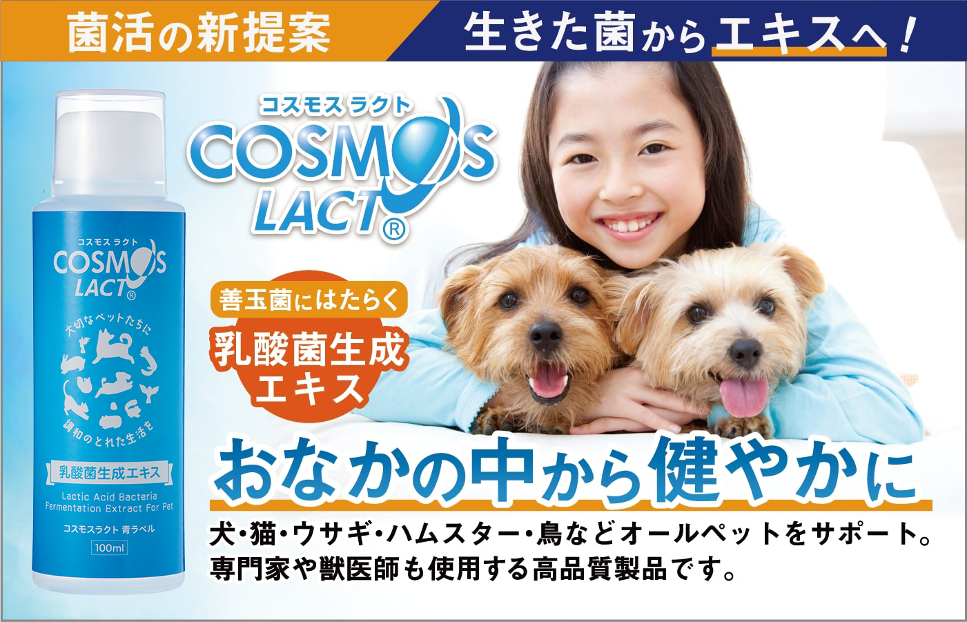 株式会社エクセル