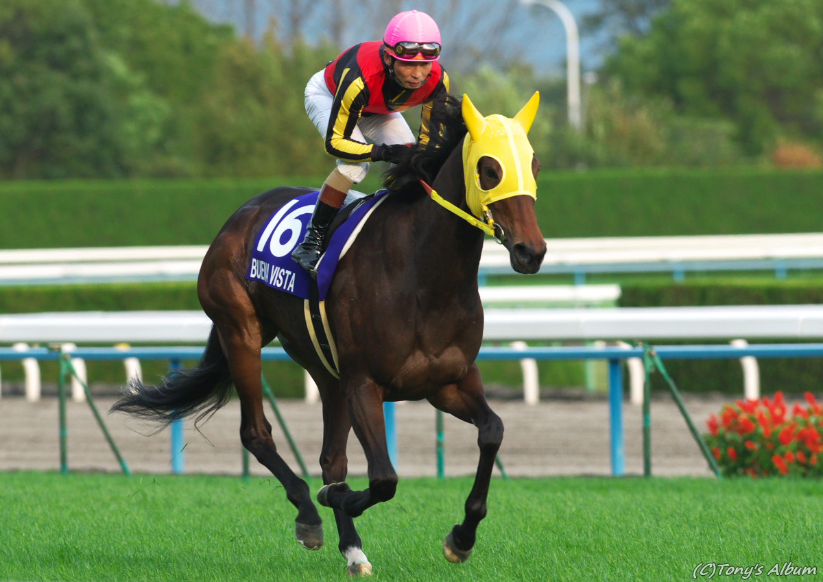 第34回エリザベス女王杯 | Tonyの競馬写真ブログ