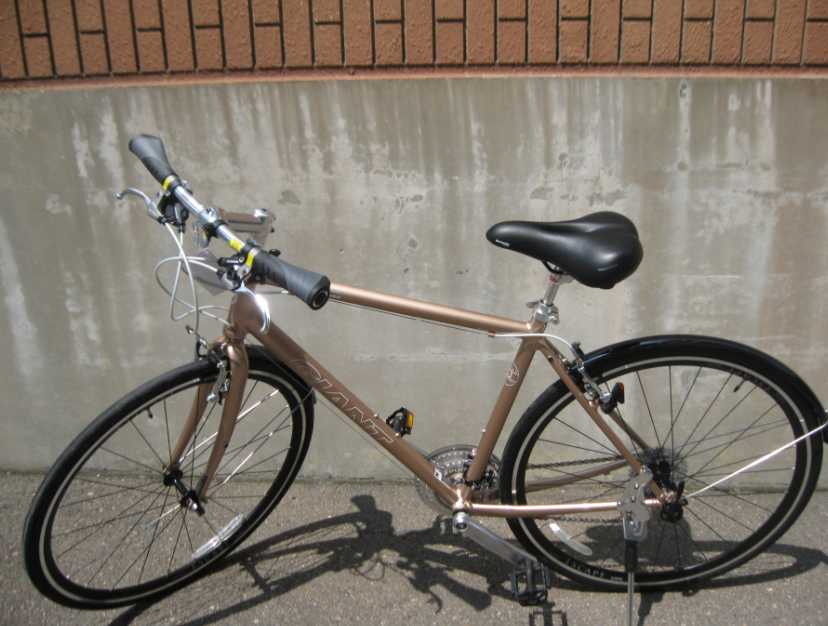 ショップ ジャイアントエスケープR3！シャンパンゴールド