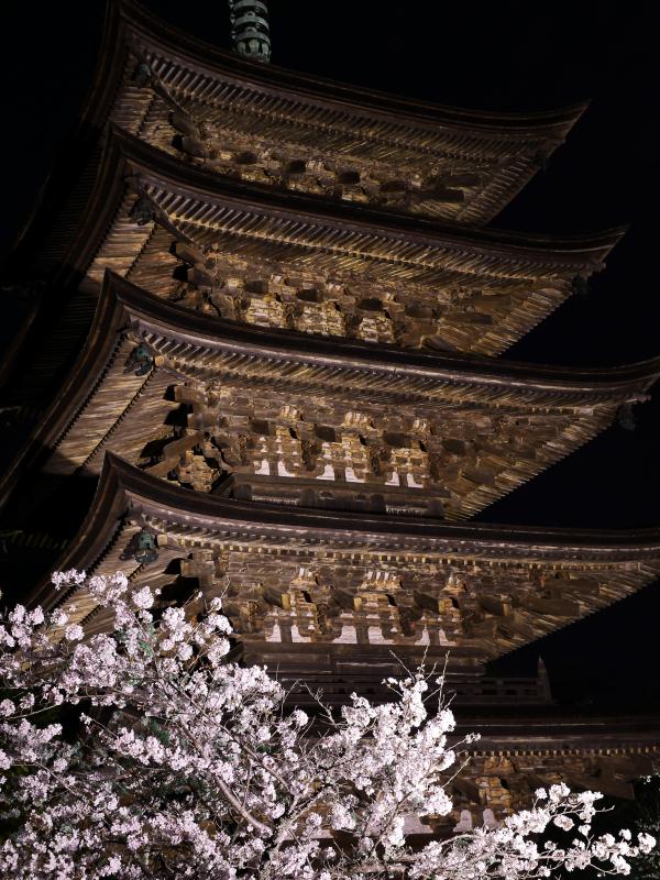 国宝 瑠璃光寺五重塔｜令和の大改修｜【公式】山口県観光/旅行サイト