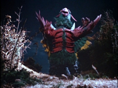 おうむ怪獣 エレジア ステータスカード ウルトラマンT タロウ おうむ