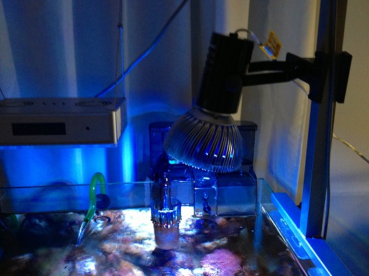 グラッシーレディオ RX122 CR レディオクリップM BT2 セット