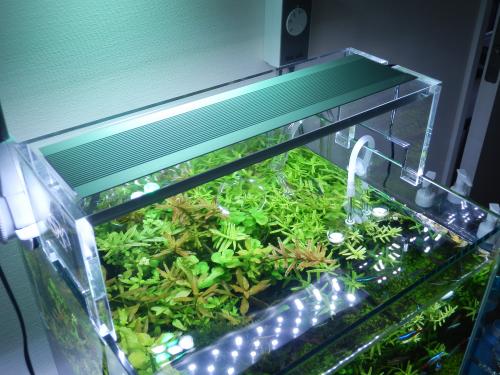 ADA アクアスカイ301 ADA 0 アクアスカイ 女々し ミラーユニット付き 30cm