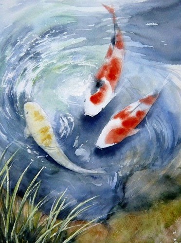 錦鯉 水彩画