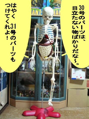 アーサーが教える 体のふしぎ 1〜80巻セット 人体模型 アーサーが教える