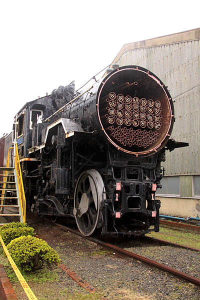 D51542カットボディ