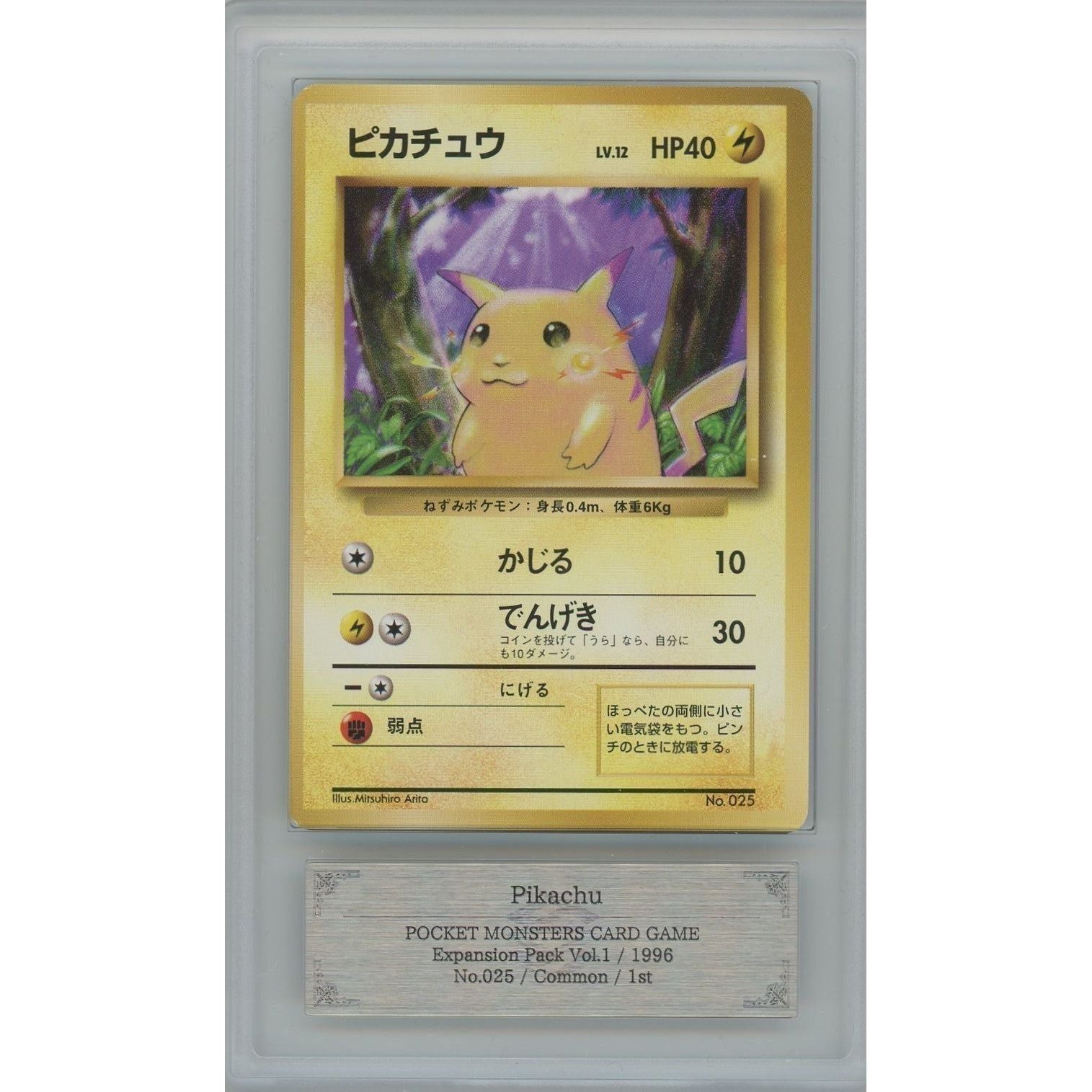 ポケモンカード ゲーム・おもちゃ・グッズ 【確認用】【B3002】旧裏