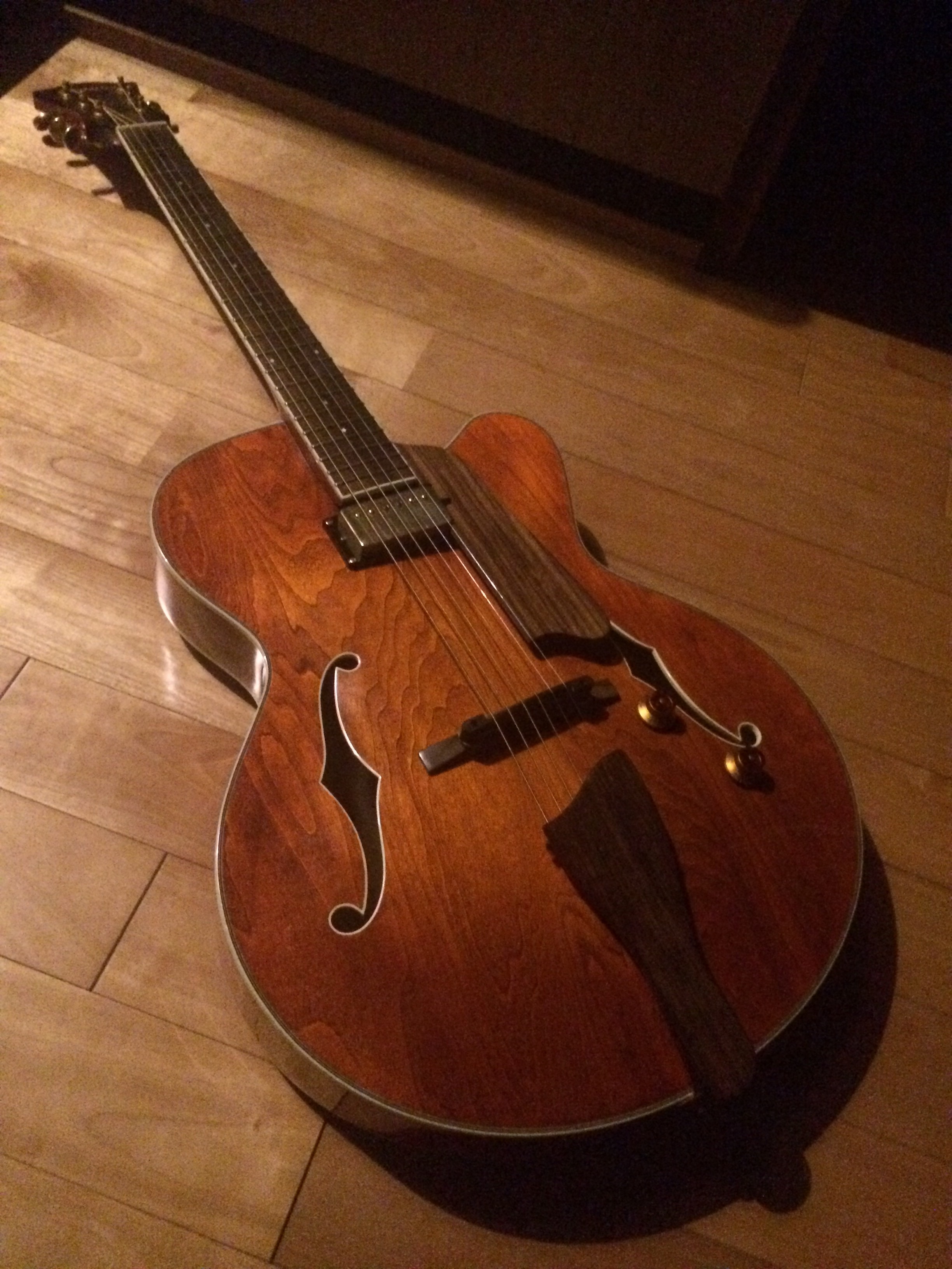 大切に使ってくれる方へ】Eastman AR-403CE P-90 Eastman AR-403CE