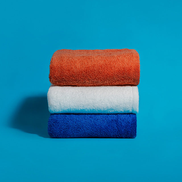 HIPPO JOURNAL - Hippopotamus 15th Anniversary、ヒポポタマスとその