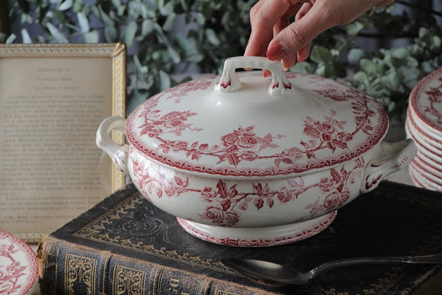 Bフランスアンティーク・ショワジールロワVILLARDプレート