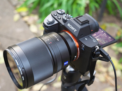 Distagon T* FE 35mm/F1.4 ZA（テスト撮影）: ちぇり小屋