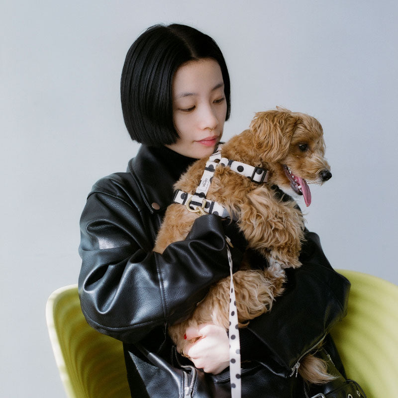 ハーネス Dots 再入荷！ – ciiron tokyo