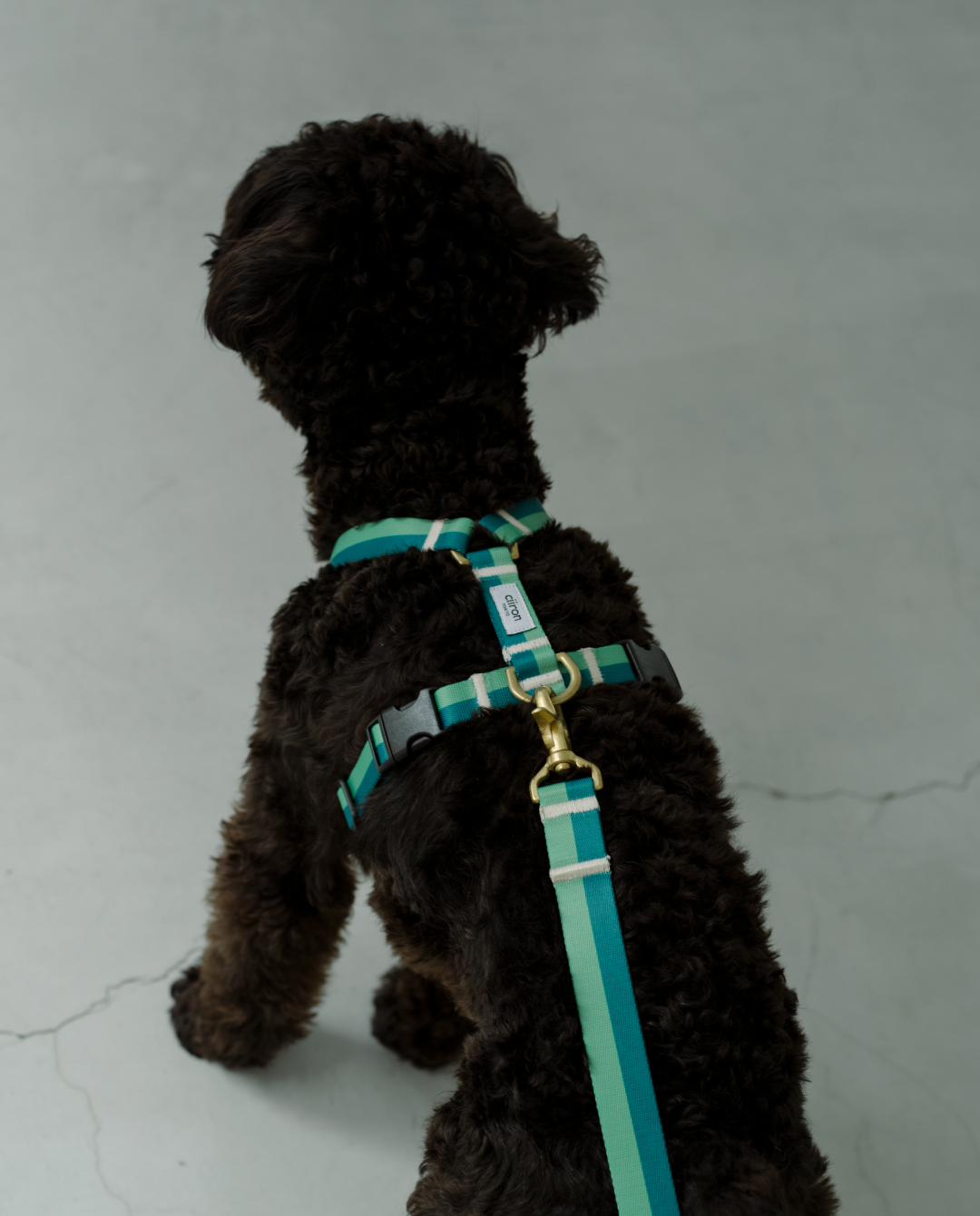 ハーネス Moss – ciiron tokyo