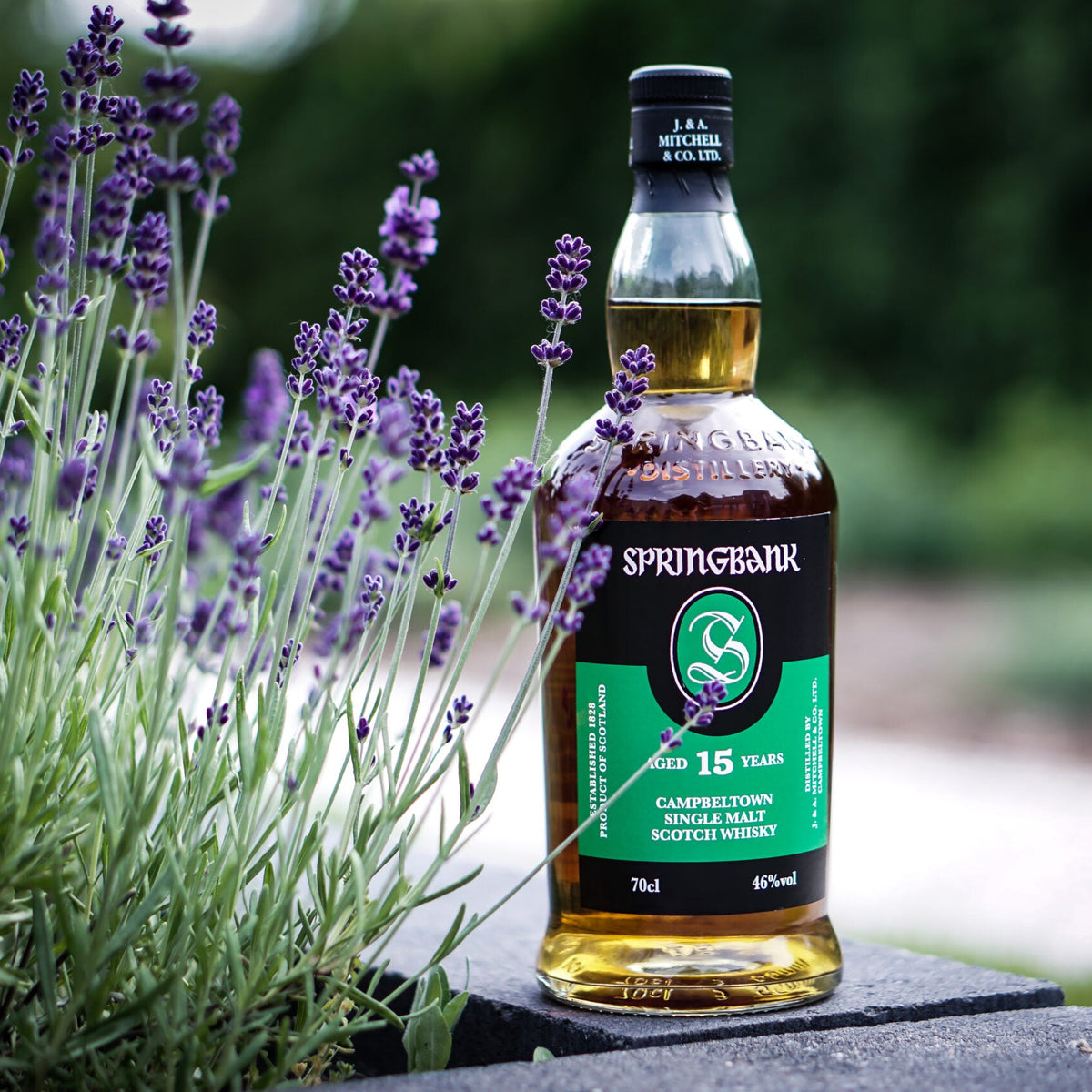 SPRINGBANK 15年 スコッチウイスキー スプリングバンク 15年
