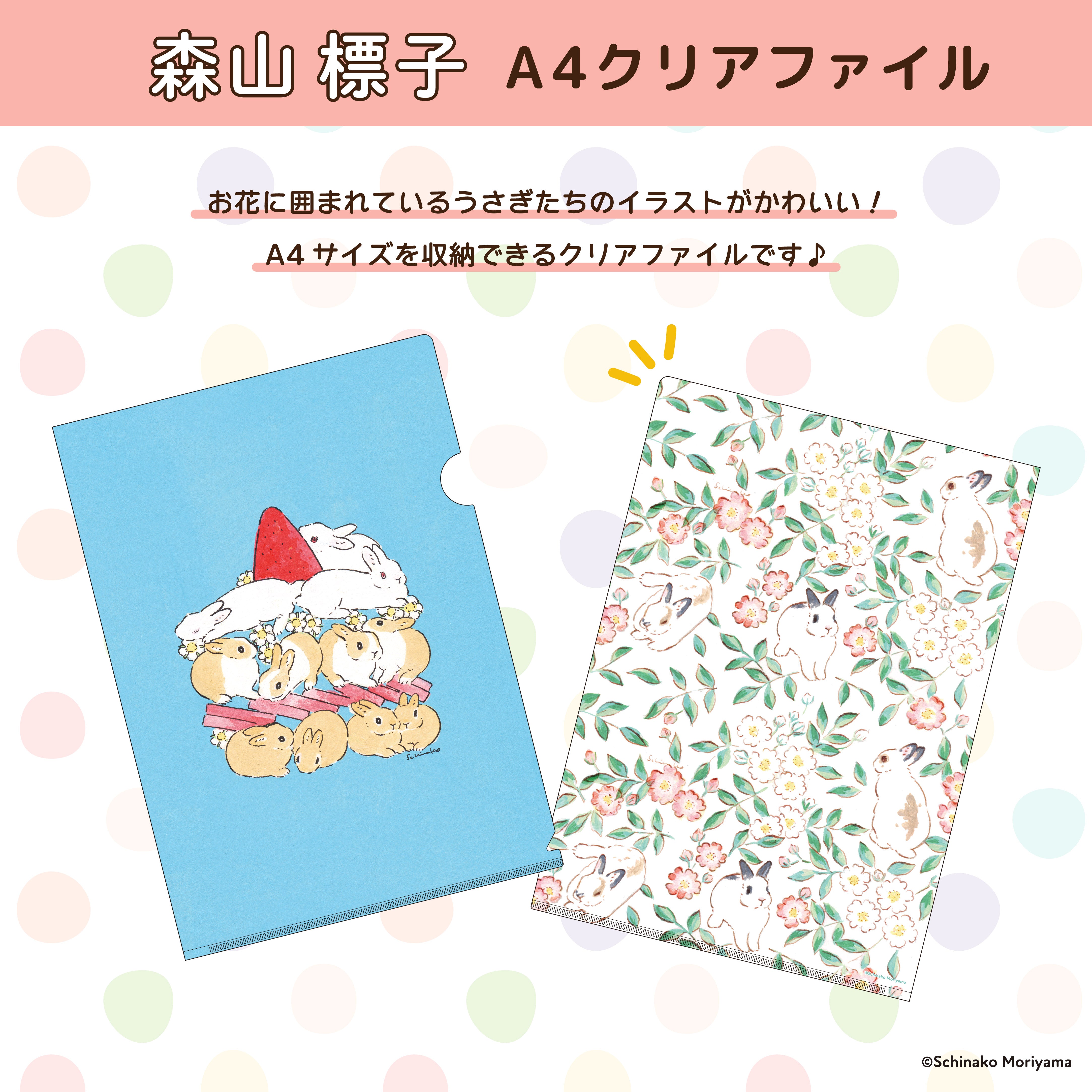 SB_EC_clearfile_33E56__01.jpg?