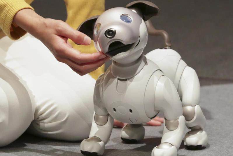 ソニー「aibo」、30分で完売 | ロボット ニュース | 日刊工業