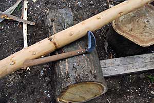 杉の皮ハギのページ