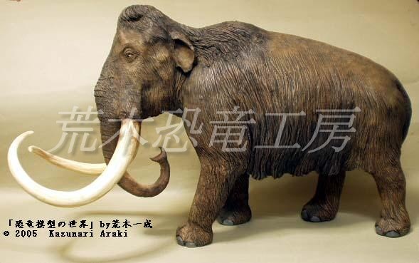 約一万年前のマンモスの体毛 Amazon | SCIENCE 化石標本Woolly Mammoth