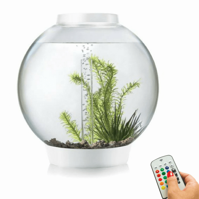biOrb Classic 30L / 8 Gallon All-in-One Aquarium w/ Multicolor