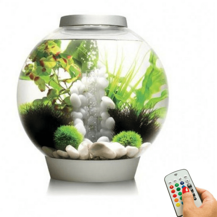 biOrb Classic 30L / 8 Gallon All-in-One Aquarium w/ Multicolor