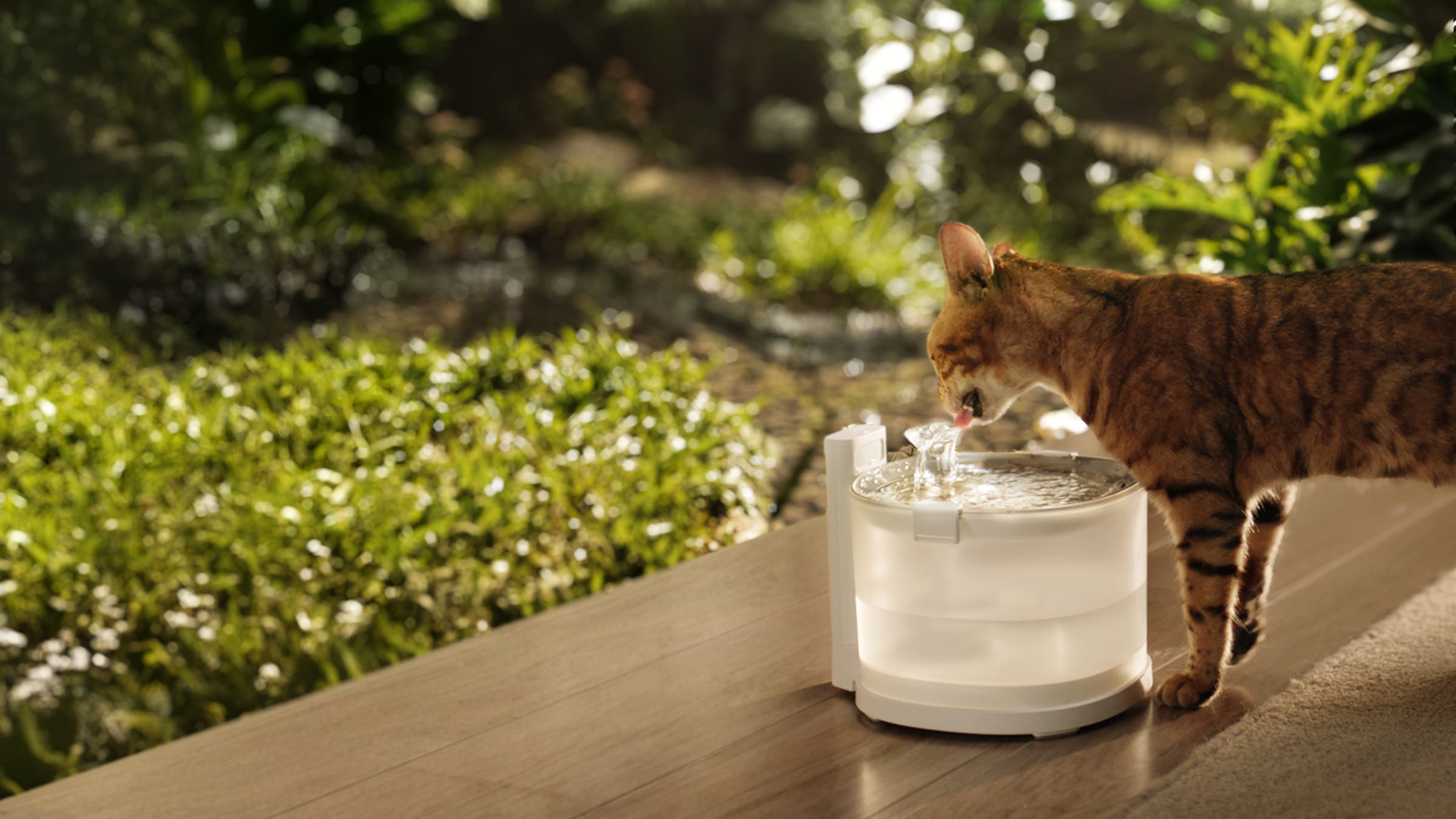 エルフィン給水器