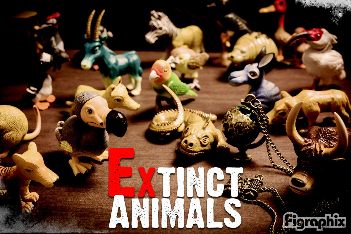 ガチャ温故知新】戦え絶滅動物 | talkin' in the sleep