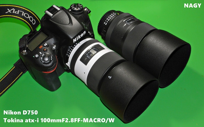 Nikon FE2 一眼レフカメラ レンズ2本セット NikonFE2 レンズセット