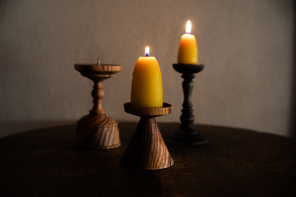 春日大社境内の杉(Cedar trees grown in the precincts of the Kasuga