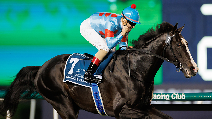 出資者限定】イクイノックス ドバイシーマクラシック 優勝記念品