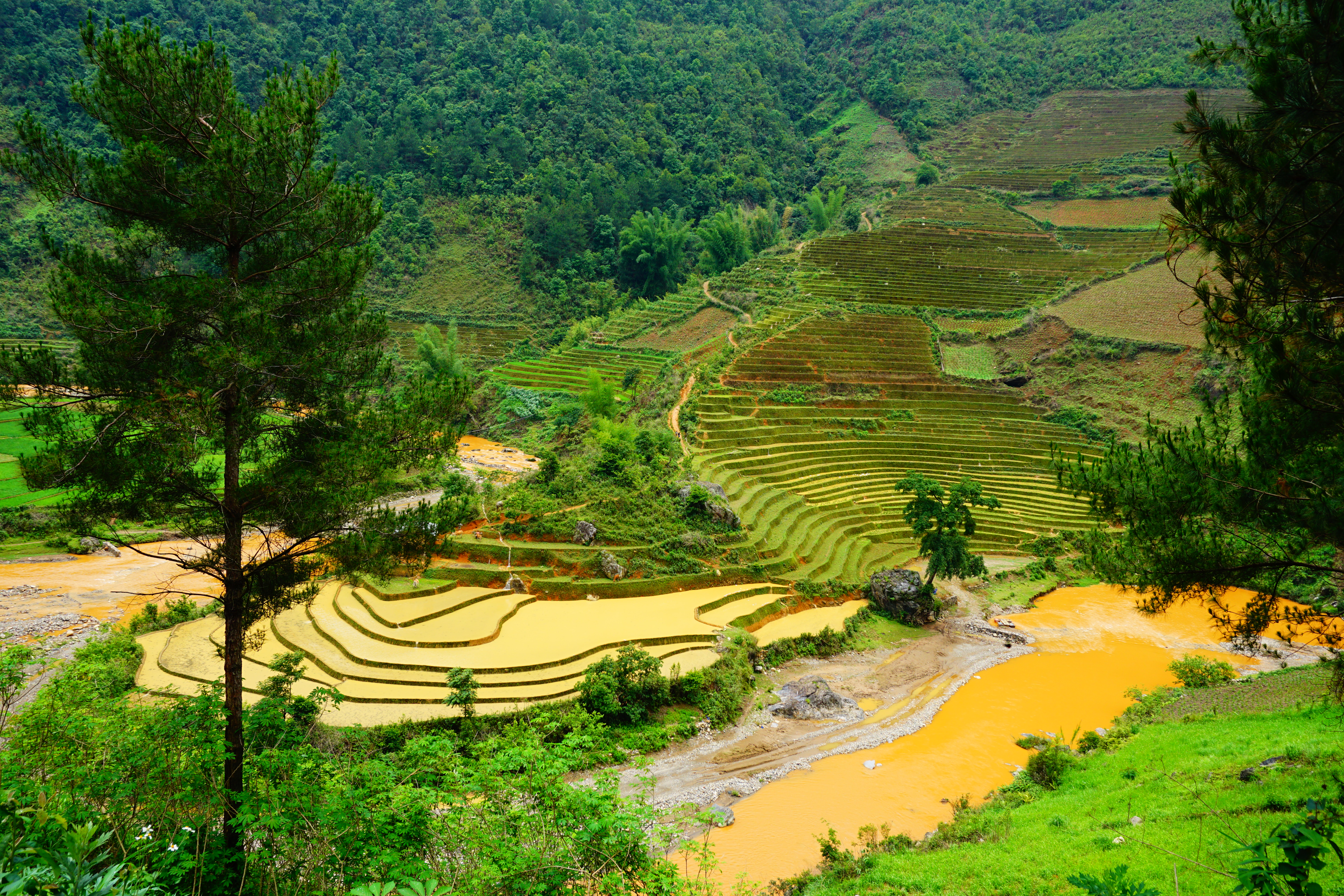 絶景】ベトナムで一番美しい棚田 イエンバイ省ムーカンチャイ。