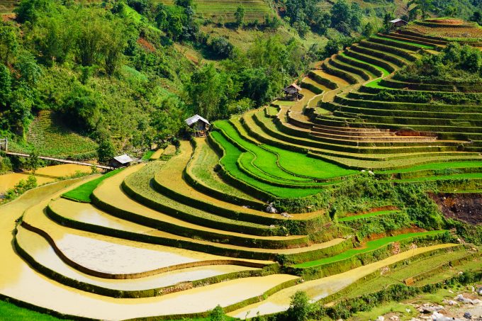 絶景】ベトナムで一番美しい棚田 イエンバイ省ムーカンチャイ。
