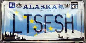 アメリカのナンバープレート・ベスト30